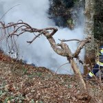 Böschungsbrand am 04.12.2024