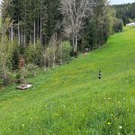 2025-05-04_suchaktion_009