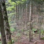 2025-05-04_suchaktion_011