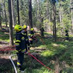 Entstehungswaldbrand in Miesenbach am 28.06.2025