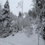 2026-02-20_schneeeinsaetze_011