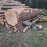 2026-03-20_uebung_001