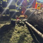 2026-03-20_uebung_009