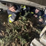 2026-03-20_uebung_013