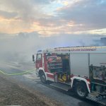 2026-03-28_brand-021