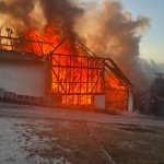 2026-03-28_brand-027