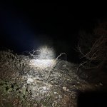 2026-04-26-28_khd_005