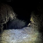 2026-04-26-28_khd_055