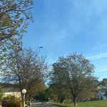 2026-04-26-28_khd_127