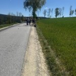 2026-05-02_floriani_045
