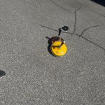 2026-05-02_floriani_074