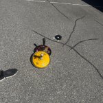 2026-05-02_floriani_127