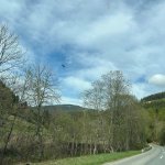 2026-05-05_brand_001