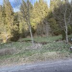 2026-05-05_brand_021