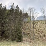 2026-05-05_brand_025