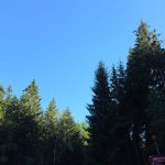 2026-08-15-waldbrand_002