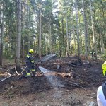2026-08-15-waldbrand_004