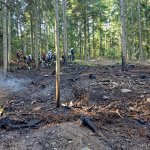 2026-08-15-waldbrand_006