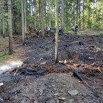 2026-08-15-waldbrand_007