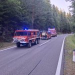 2026-08-15-waldbrand_012