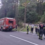 2026-08-15-waldbrand_014