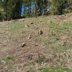2026-04-18_abschnittsuebung_027